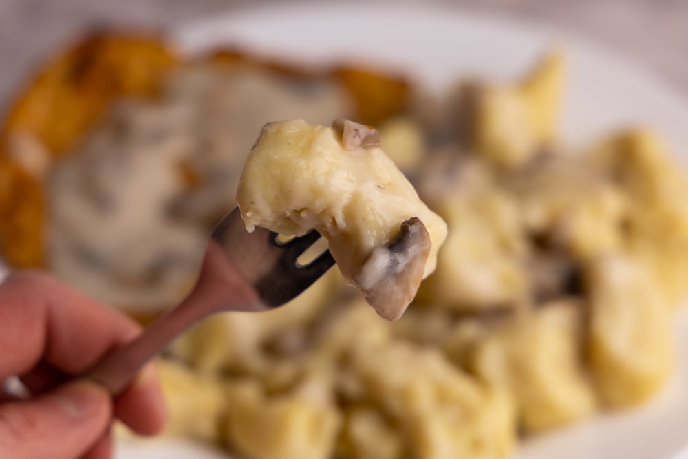 Polish potato dumpling closeup