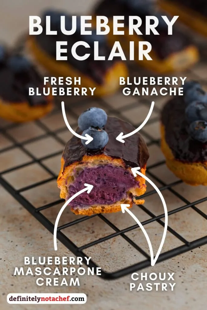 Blueberry eclair anatomy