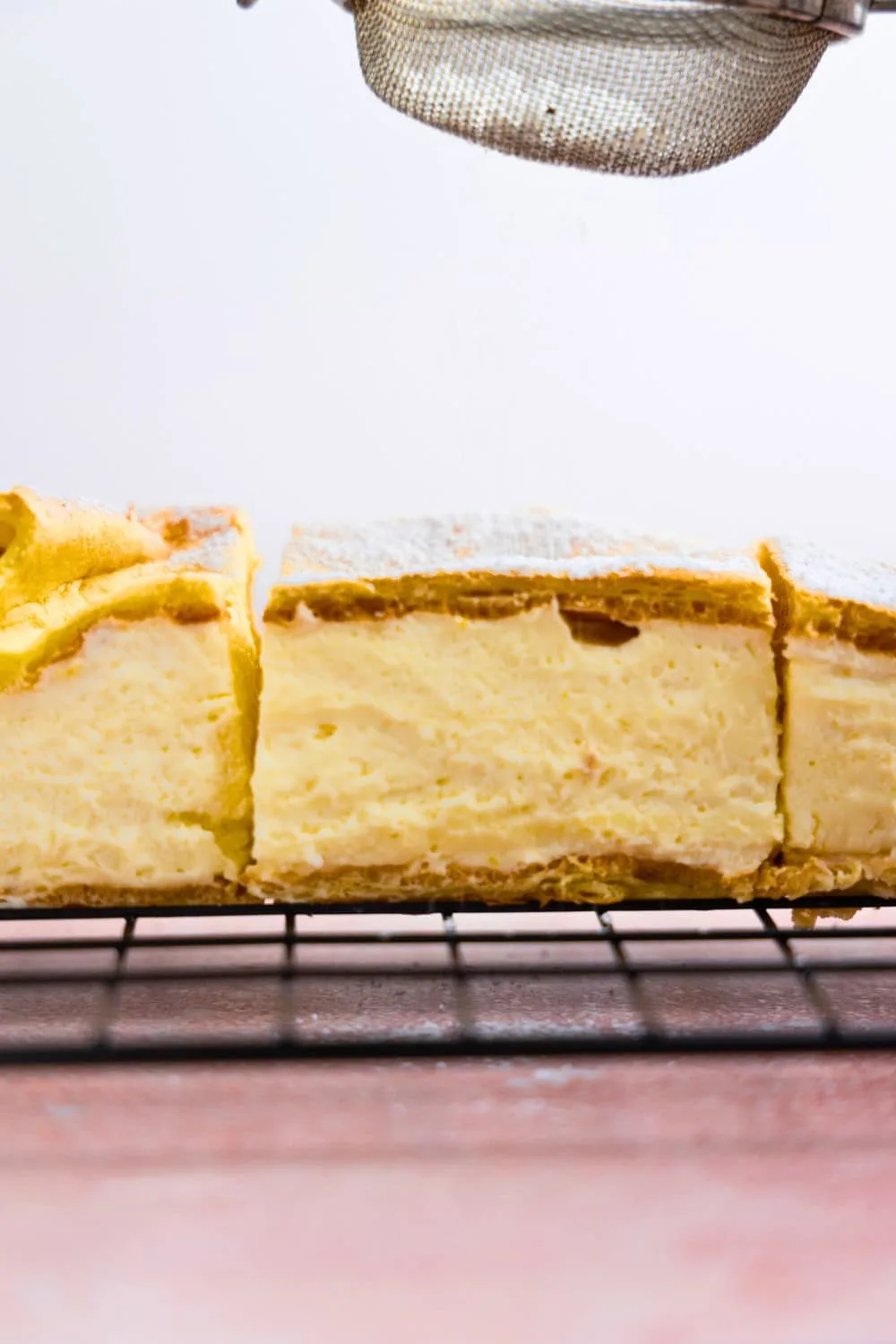 Karpatka with diplomat cream
