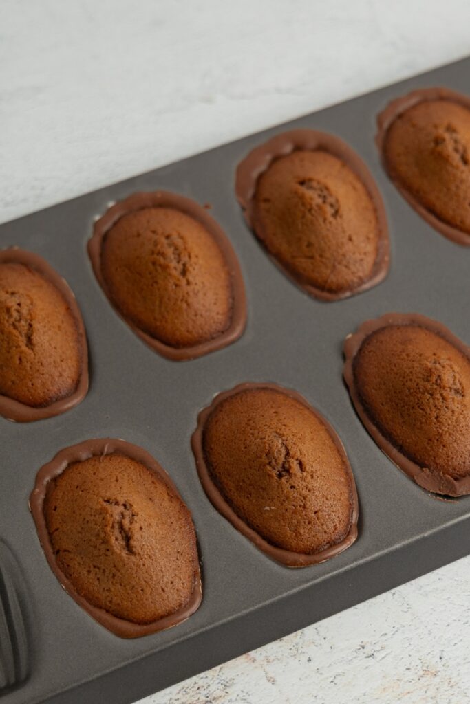 Baked chocolate madeleines with chocolate shells