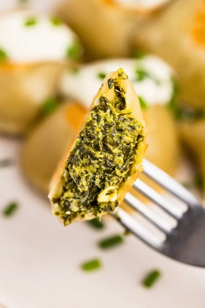Close up bite of spinach pierogi with filling