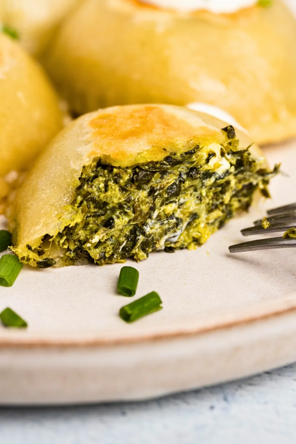 Homemade pierogi with spinach filling