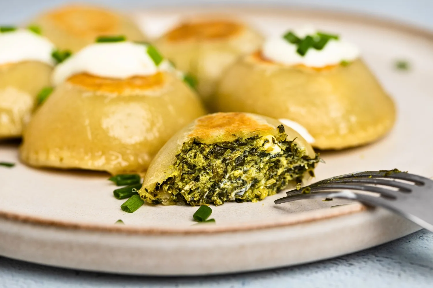 Spinach pierogi deliciously served on plate