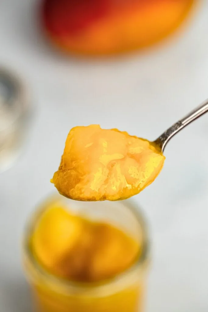 Mango compote closeup