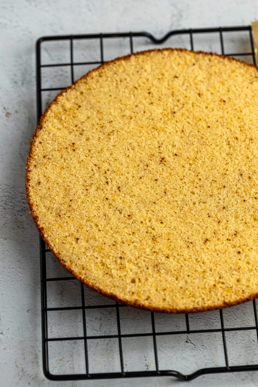 Financier cake base cut on cooling rack