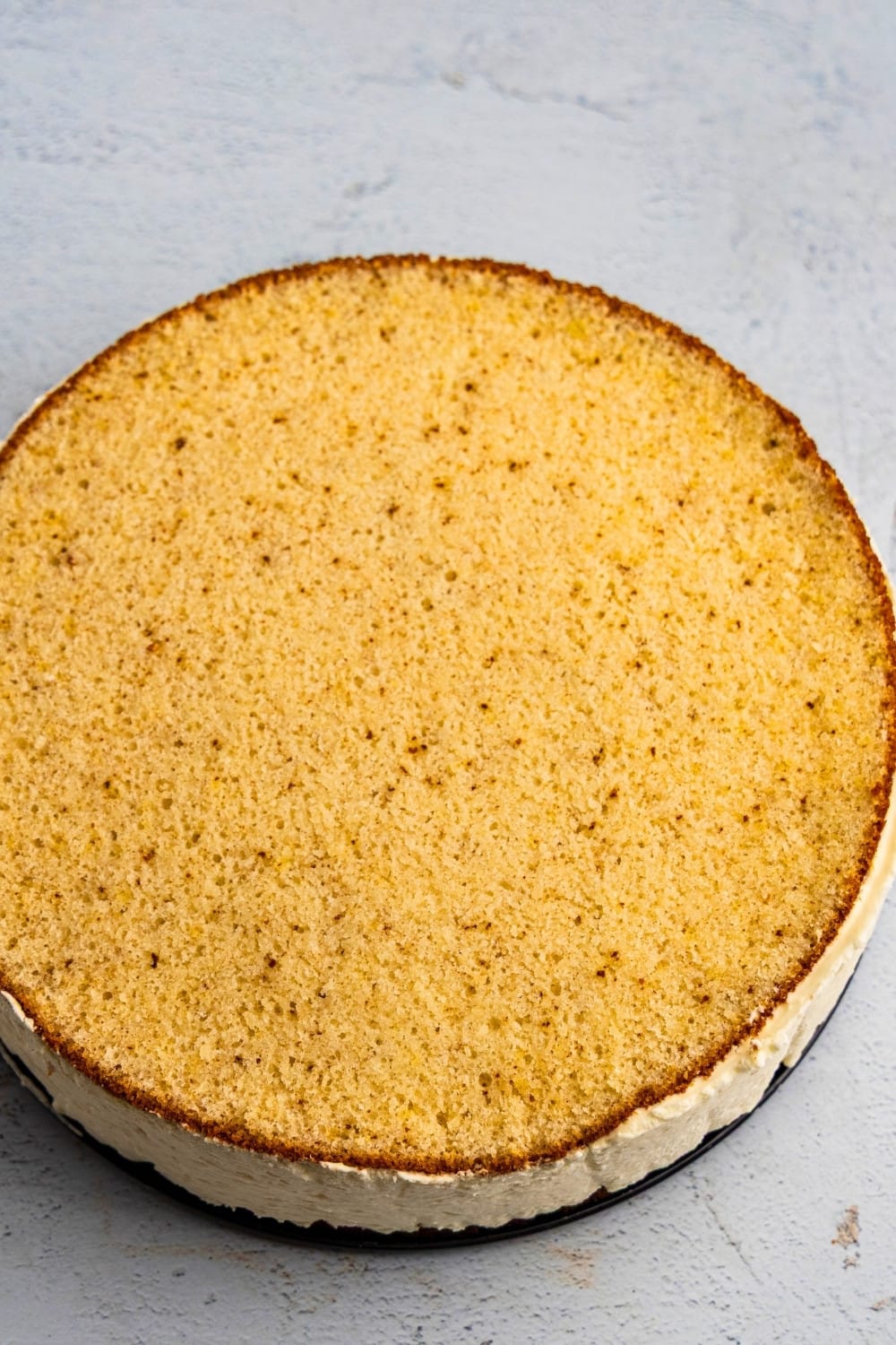 Financier cake base used in cake