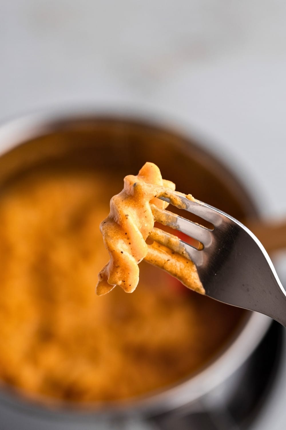 Tomato cottage cheese pasta sauce closeup